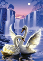 Два лебедя в долине водопадов