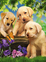 Милые щеночки с цветами и бабочкой