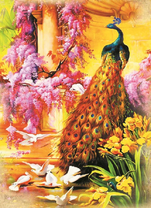 Роскошный павлин и белые голуби