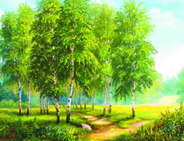 Березовая роща в летний день