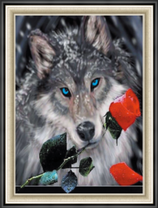 Голубоглазый волк с розой в зубах