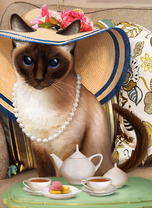 Кошка в шляпе с чашечкой чая