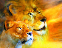 Лев и его львица