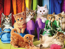 Котята в обуви
