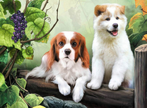 Два милых щенка у винограда