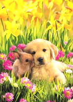 Щенок с кроликом среди цветов