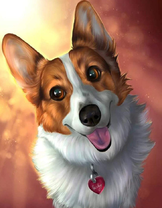 Довольный корги с ошейником