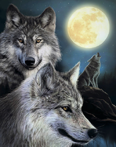 Серые волки в полнолуние