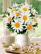 Чашечка чая и букет крупных ромашек