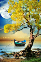 Лодка у осеннего дерева