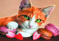 Зеленоглазый котёнок со сладостями