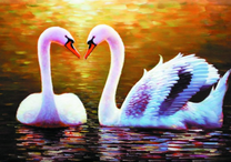 Два лебедя неимоверной красоты