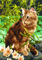 Рыжий любопытный котик