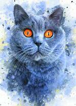 Серый желтоглазый кот