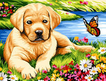 Щенок лабрадора и бабочка у озера