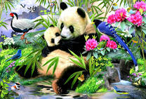 Панды и фазаны у ручья