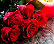 Красные розы и роса