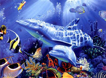 Дельфины и рыбы на фоне кораллов