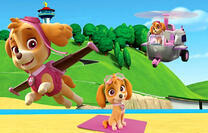 Paw Patrol. Skye