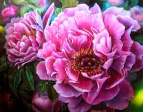 Пион лекарственный