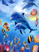 Дельфины, рыбы и черепаха