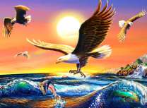 Орланы ловят рыбу в море