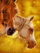 Жеребёнок с лошадью в лучах солнца