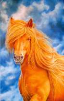 Благородный скакун на фоне неба