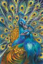 Красивая пара ярких павлинов