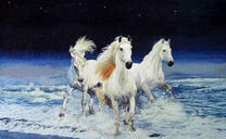 Белые лошади в морских водах