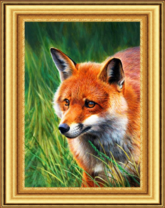 Лис в летней траве