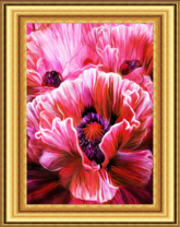 Красочные цветущие маки