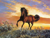 Вороной конь на закате