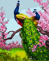 Большие павлины на цветущей ветке