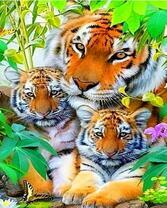 Тигрята с мамой в зеленых зарослях