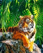 Тигр на камне в тени листьев