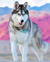 Усталый хаски