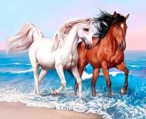 Нежные лошадки на морском берегу