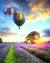 Полет шаров над цветущей лавандой