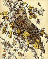 Сова на дубовой ветке