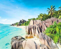 Пальмы и солнечный берег