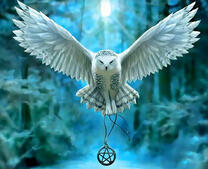 Белая сова несет медальон