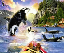 Касатки сопровождают байдарочника