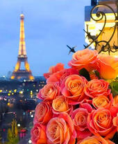 Розы на фоне ночного Парижа