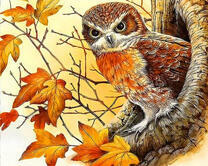 Сыч в осеннем лесу