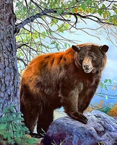 Бурый медведь под большим деревом