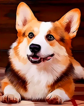 Милаха корги