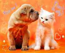 Щенок и  котёнок