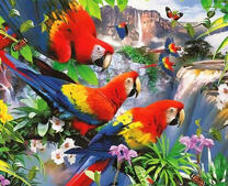 Попугаи Ара над водопадами