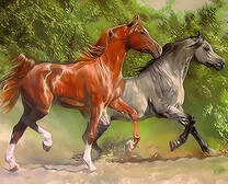 Бег лошадей